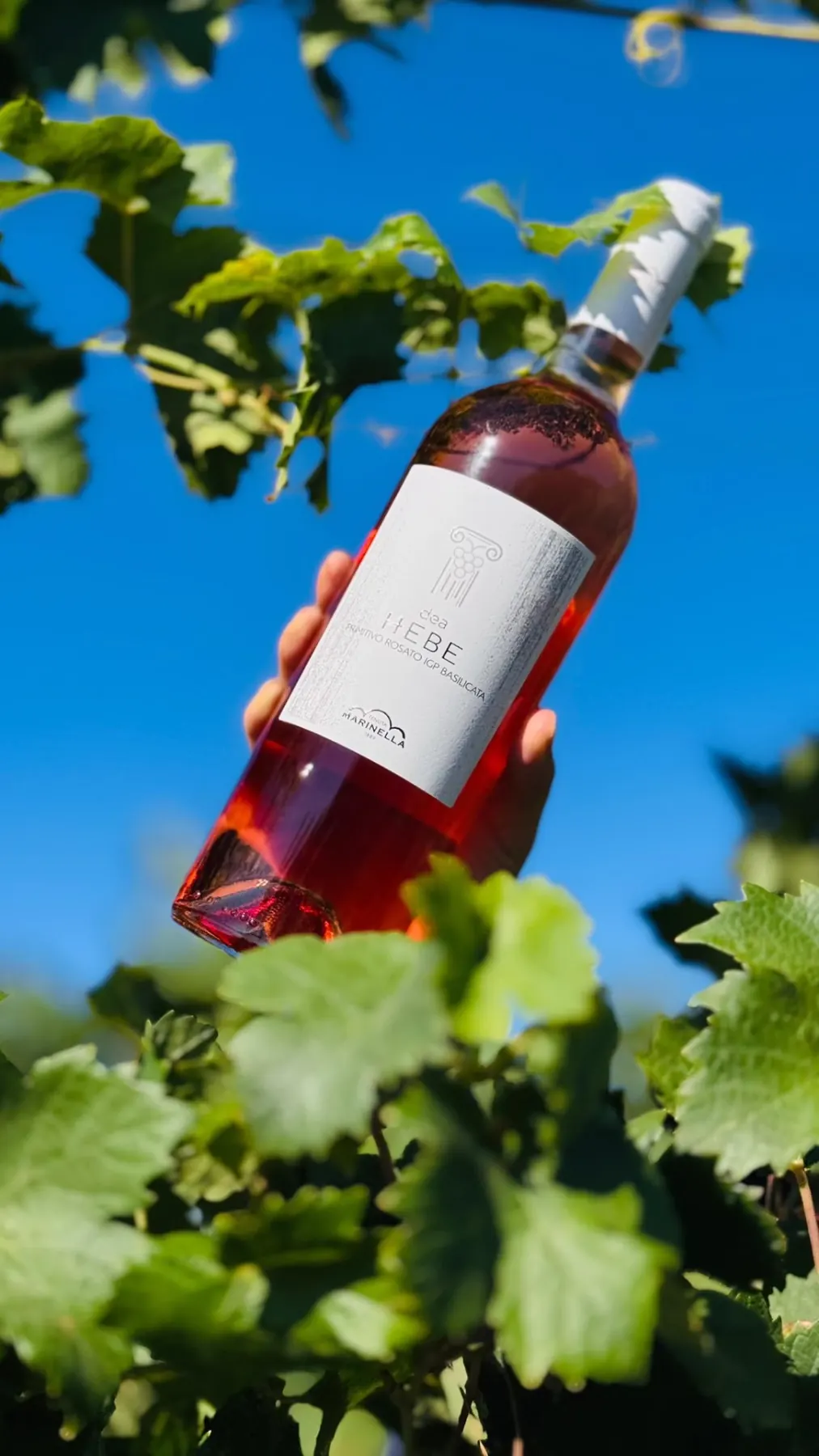 dea Hebe rosé bottle raised against the Metapontino sky